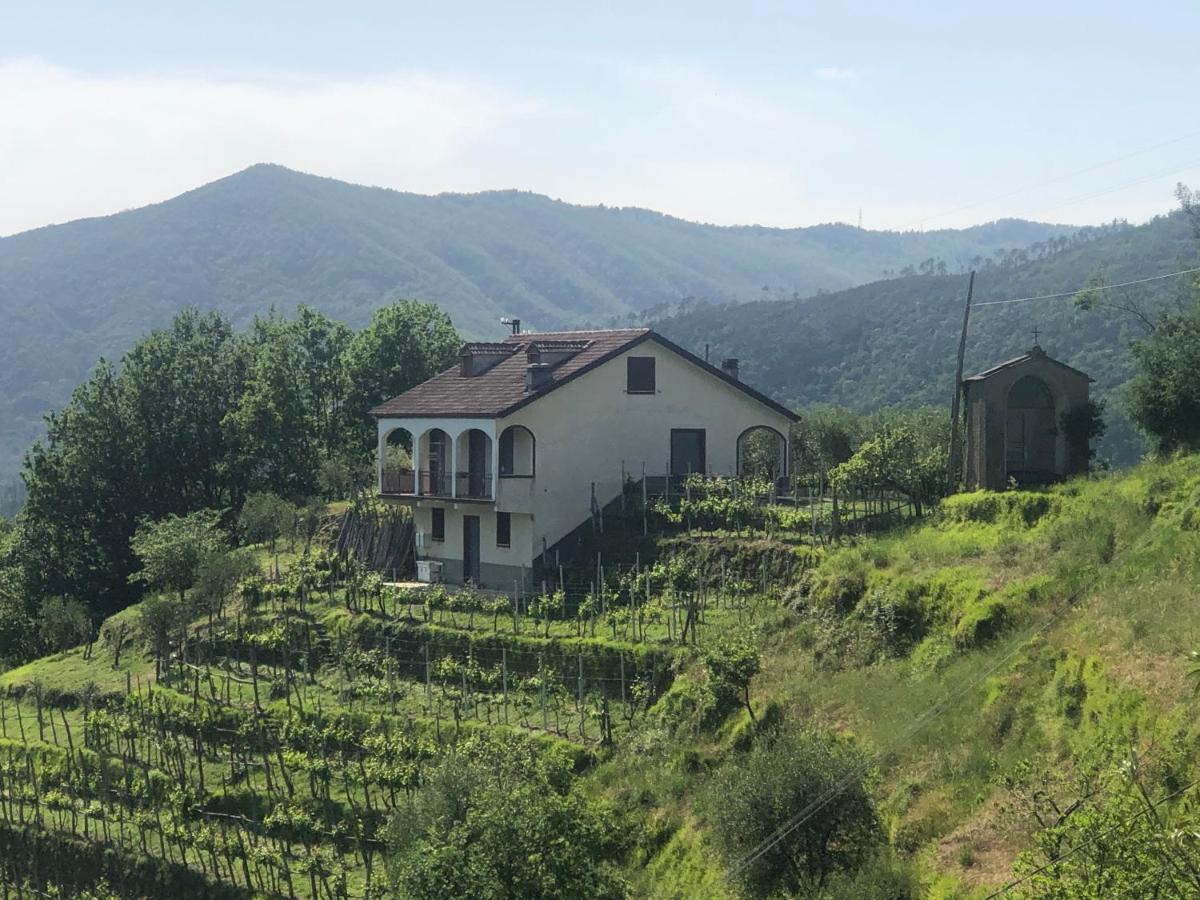 Villa Elena Mezzanego Exterior foto