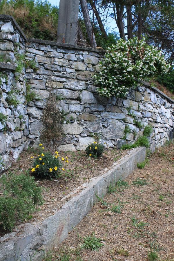 Villa Elena Mezzanego Exterior foto