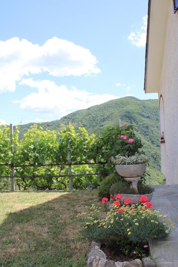Villa Elena Mezzanego Exterior foto